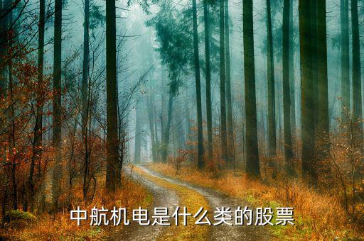 中航機(jī)電是什么類(lèi)的股票