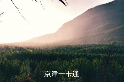京津冀公交卡一體卡是什么樣子的，在北京辦的藍色的公交卡是可以在石家莊所有公交用了嗎還是說京津