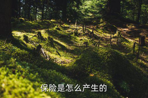 保險(xiǎn)的原理是什么，保險(xiǎn)是怎么產(chǎn)生的