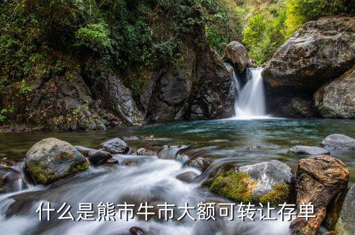 什么是大額同業(yè)可轉讓存單，什么是大額可轉讓定期存單