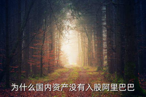 當(dāng)初為什么沒投阿里巴巴，為什么國(guó)內(nèi)資產(chǎn)沒有入股阿里巴巴