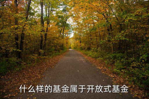 開放式基金是什么，什么叫做開放式基金