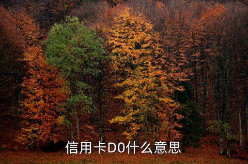 預付卡的贖回是什么意思，信用卡D0什么意思