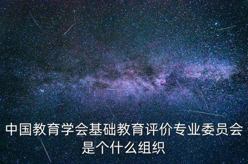 中國教育學會基礎(chǔ)教育評價專業(yè)委員會是個什么組織