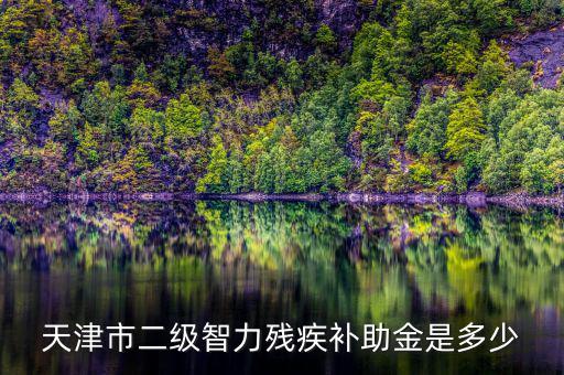 天津市對二級殘疾人有什么補助，二級殘疾人補助標準