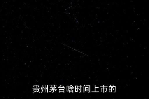 貴州茅臺什么時候上市，貴州茅臺啥時間上市的