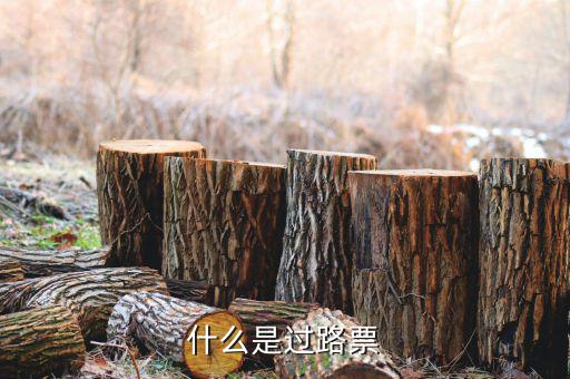 什么是過(guò)票行為，使用較消過(guò)的發(fā)票是什么行為