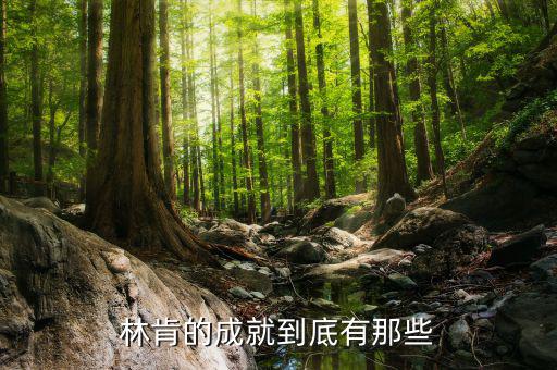 林肯的業(yè)績有什么，華盛頓林肯共同歷史功績