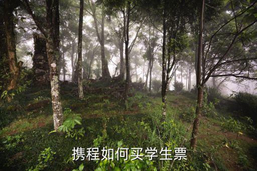  攜程如何買(mǎi)學(xué)生票