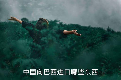 美國從巴西進口什么，中國向巴西進口哪些東西
