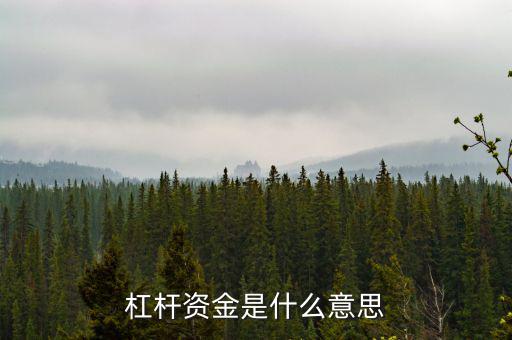 資金杠桿是什么意思，投資里面的杠桿是什么意思