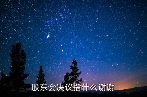 什么是股東會決議，有限責任公司決議叫股東會會決議那么國有企業(yè)決議應(yīng)該叫什