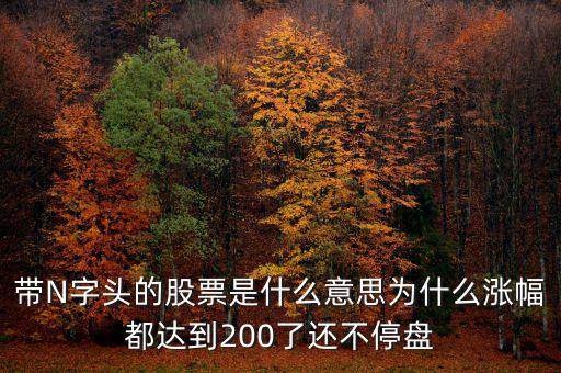 n派思是什么股票，帶N字頭的股票是什么意思為什么漲幅都達(dá)到200了還不停盤