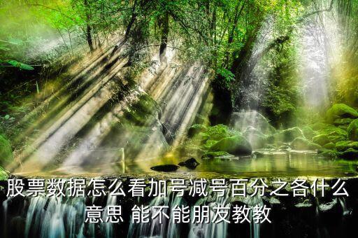 證券如何看漲停加減什么意思，漲停時(shí)買一后邊的數(shù)加減是什么意思