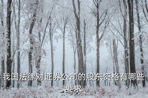 金融公司應(yīng)引入什么樣的股東，我國法律對證券公司的股東資格有哪些要求