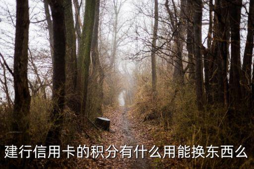 建行信用卡積分能兌換什么，請問下建行信用卡1萬多積分可以換什么