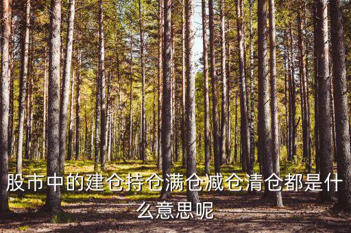 為什么減倉，減倉是什么意思什么是減倉
