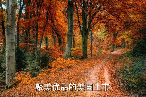 聚美優(yōu)品為什么要上市，根據(jù)聚美優(yōu)品案例談?wù)勈裁词莍po
