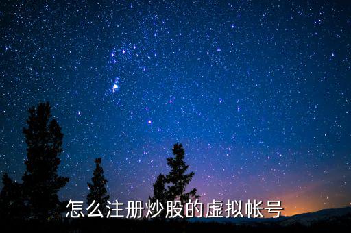 虛擬證券賬戶是什么，什么叫股票的虛擬賬戶