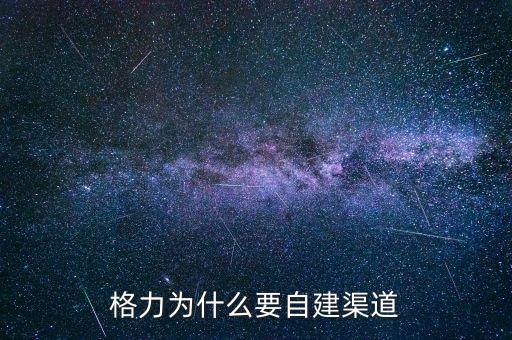格力為什么自建渠道，格力與國美電器將來的合作的可能性如何請說明原因