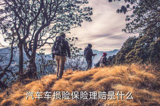 車(chē)損險(xiǎn)都賠什么，車(chē)損險(xiǎn)涉及到哪些賠償