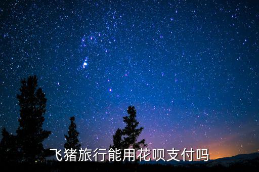 阿里巴巴abs什么時(shí)候推出的，交易貓可以用螞蟻花唄支付嗎