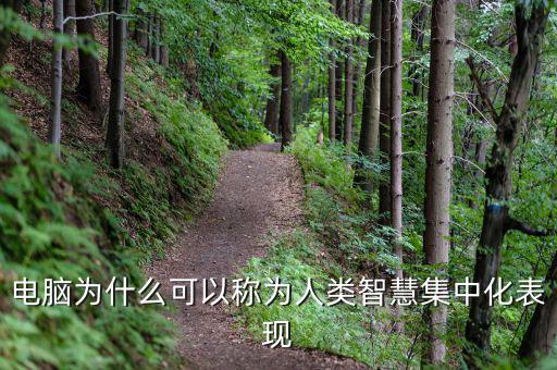 電腦為什么能夠做人工智能，電腦為什么可以稱為人類智慧集中化表現(xiàn)