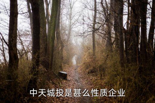 中天城投是什么概念，中天城投在這么些年的發(fā)展中涉及了哪些行業(yè)