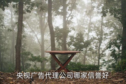 什么企業(yè)被央視廣告拖垮的，央視廣告代理公司哪家信譽好