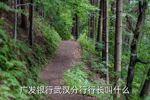 湖北武漢農(nóng)發(fā)行處長(zhǎng)叫什么，湖北省審計(jì)廳處級(jí)干部和各處處長(zhǎng)是誰