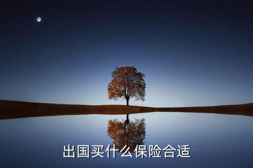 什么保險長期在國外有用，什么保險有去國外玩的保障啊
