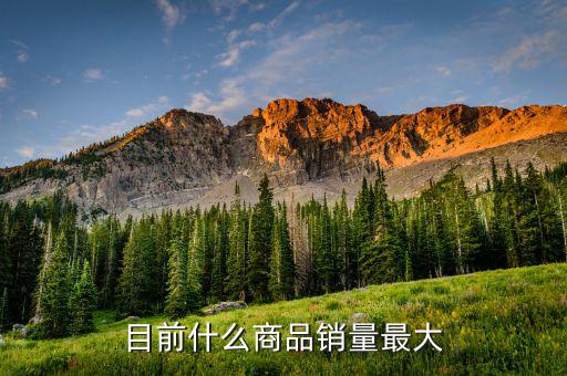 什么消費(fèi)品最大市場(chǎng)，目前什么商品銷量最大