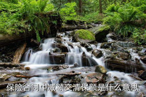 什么是減額交清，保險(xiǎn)合同中減額交清保額是什么意思