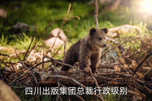 傅成玉總裁是屬于什么級別的，中石化總裁和中石化總經(jīng)理是同一個人嗎