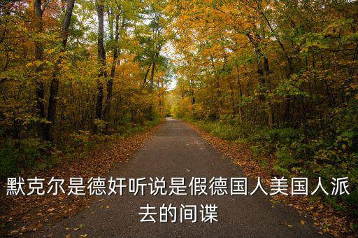 默克爾賭什么，默克爾是德奸聽說是假德國人美國人派去的間諜