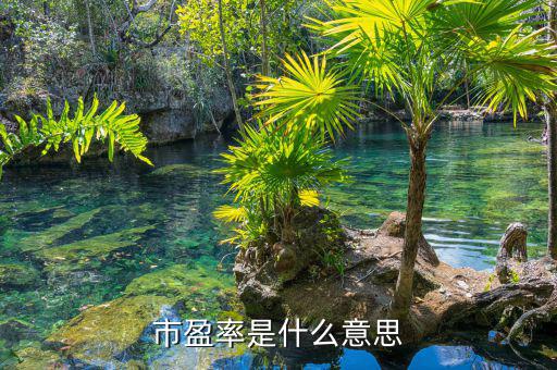什么是市盈率，什么是市凈率和市盈率