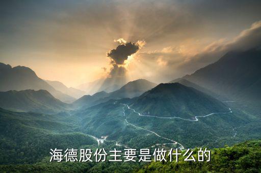 德力股份是干什么的，德國力斯集團以前主要是做什么的啊
