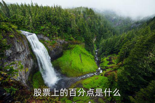 股份中的百分點(diǎn)是什么，在股票中百分點(diǎn)是指的什么