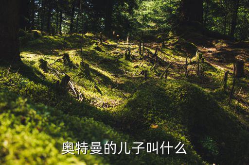 奧特佳老總兒子叫什么，奧特曼的兒子叫什么
