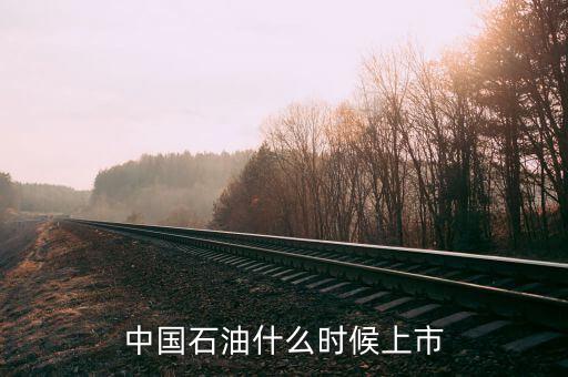 中國(guó)石油什么時(shí)候上市，中石油申購(gòu)?fù)瓿珊蟮纳鲜袝r(shí)間