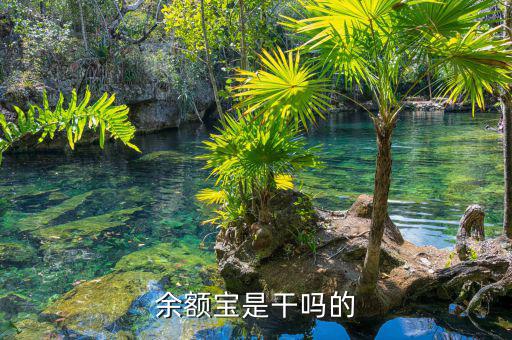 余額寶是什么，余額寶是干嗎的