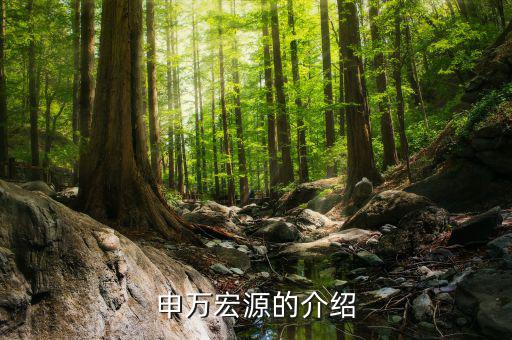 申萬(wàn)宏源總經(jīng)理什么級(jí)，申萬(wàn)宏源區(qū)分公司總經(jīng)理有行政級(jí)別嗎