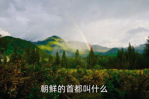 朝鮮總統(tǒng)府叫什么，朝鮮元首有專門(mén)的住所嗎有的話在哪