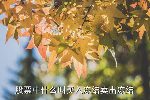 買入凍結(jié)數(shù)是什么意思，股票買入凍結(jié)是什么意思