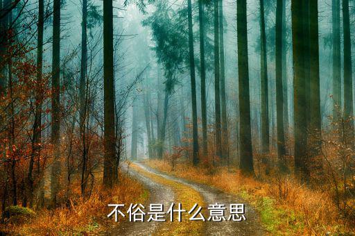 股票不俗表現(xiàn)是什么意思，不俗是什么意思