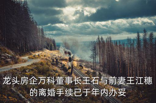 王石什么時(shí)候離婚的，龍頭房企萬(wàn)科董事長(zhǎng)王石與前妻王江穗的離婚手續(xù)已于年內(nèi)辦妥