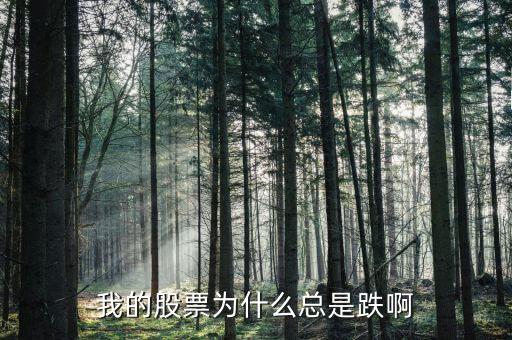 捷城股份為什么一直跌，有被捷成投資騙的人嗎咱們一起去告他