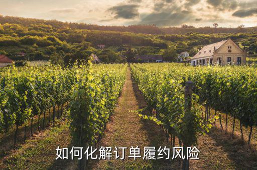 什么訂單執(zhí)行風(fēng)險(xiǎn)，淘寶訂單險(xiǎn)的問題