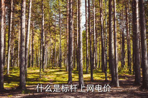 什么是標(biāo)桿電價(jià)，什么是標(biāo)桿上網(wǎng)電價(jià)