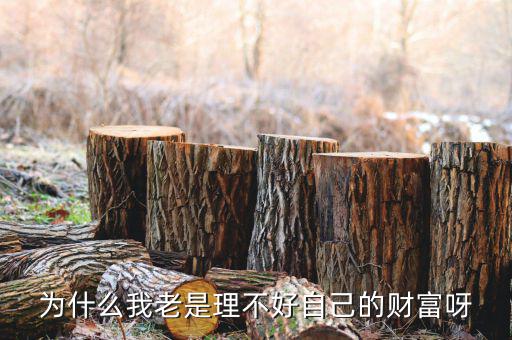 財(cái)富為什么不好說說理由，我?guī)蛣e人回答問題為什么說財(cái)富不足